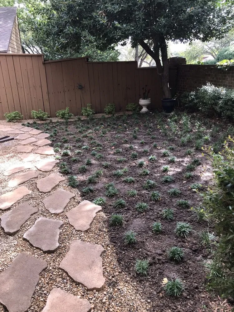 Expert yard maintenance in Dallas, TX by Paul Viers Landscaping