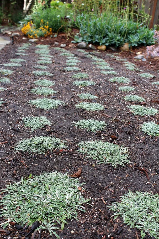 Local landscape installation experts serving Dallas, TX - Paul Viers Landscaping