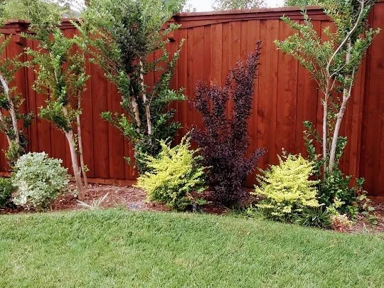 Reliable outdoor landscaping in Dallas, TX - Paul Viers Landscaping