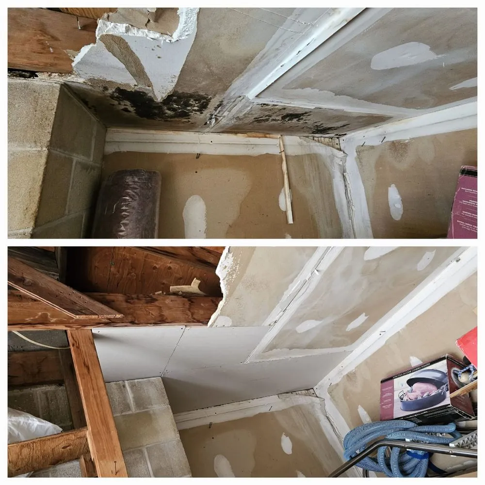 Reliable residential landscaping for beautiful yards in Egg Harbor Township, NJ by Paul Wade Of All Trades