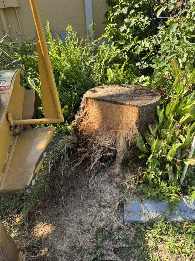 Expert landscape installation experts serving Lauderhill, FL - Paula's A1 Tree Service