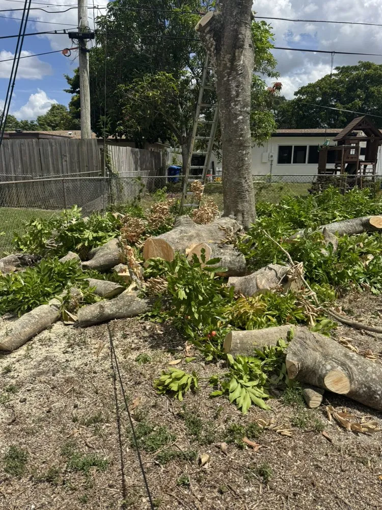 Local residential landscaping for year-round maintenance across Lauderhill, FL - Paula's A1 Tree Service