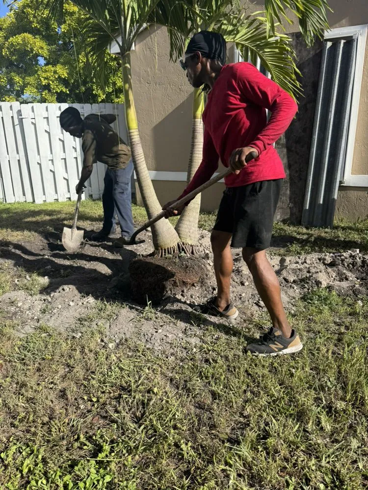Affordable landscaping services experts serving Lauderhill, FL - Paula's A1 Tree Service