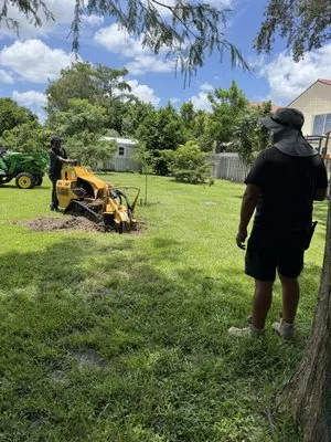 Paula's A1 Tree Service