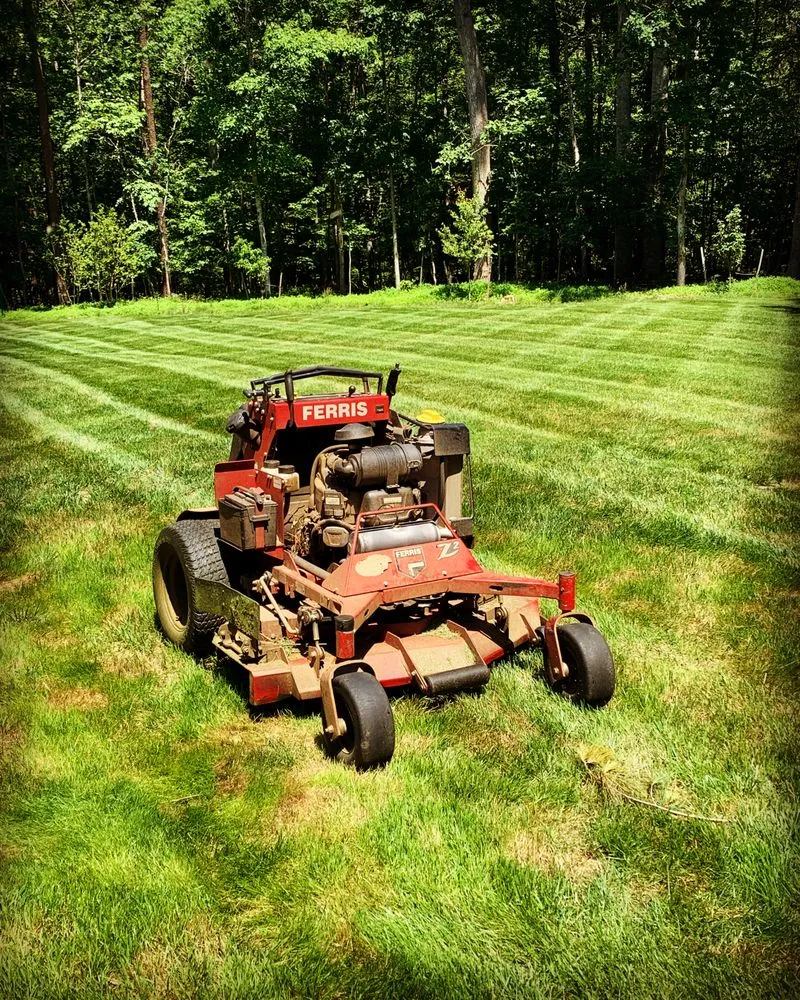 Professional yard cleanup service for beautiful yards across Earlysville, VA - Pauley Landscapes