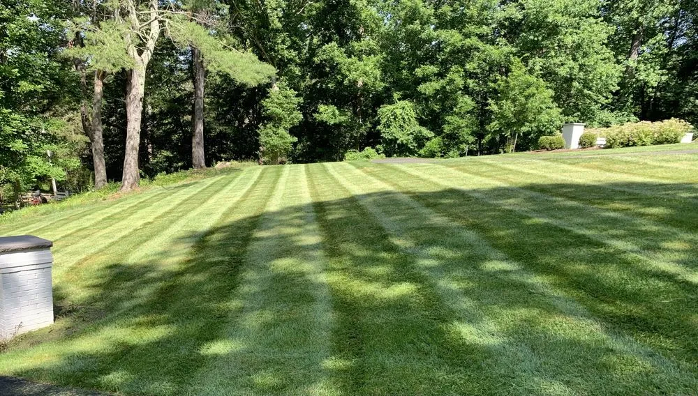 Custom residential landscaping in Earlysville, VA - Pauley Landscapes