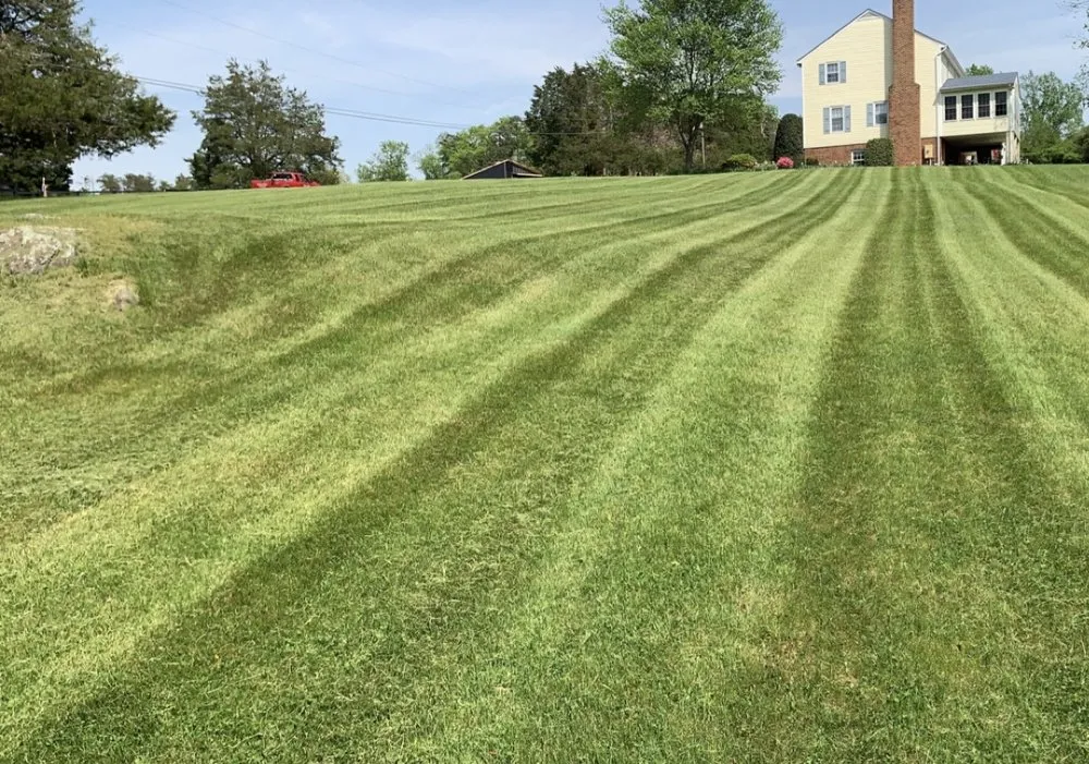 Local lawn care service for homes in Earlysville, VA by Pauley Landscapes