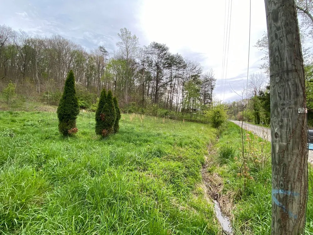 Trusted lawn mowing service in Tornado, WV by Pauleys Handyman Services