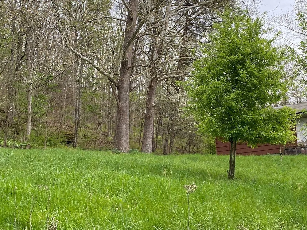 Local garden landscaping for homes across Tornado, WV - Pauleys Handyman Services