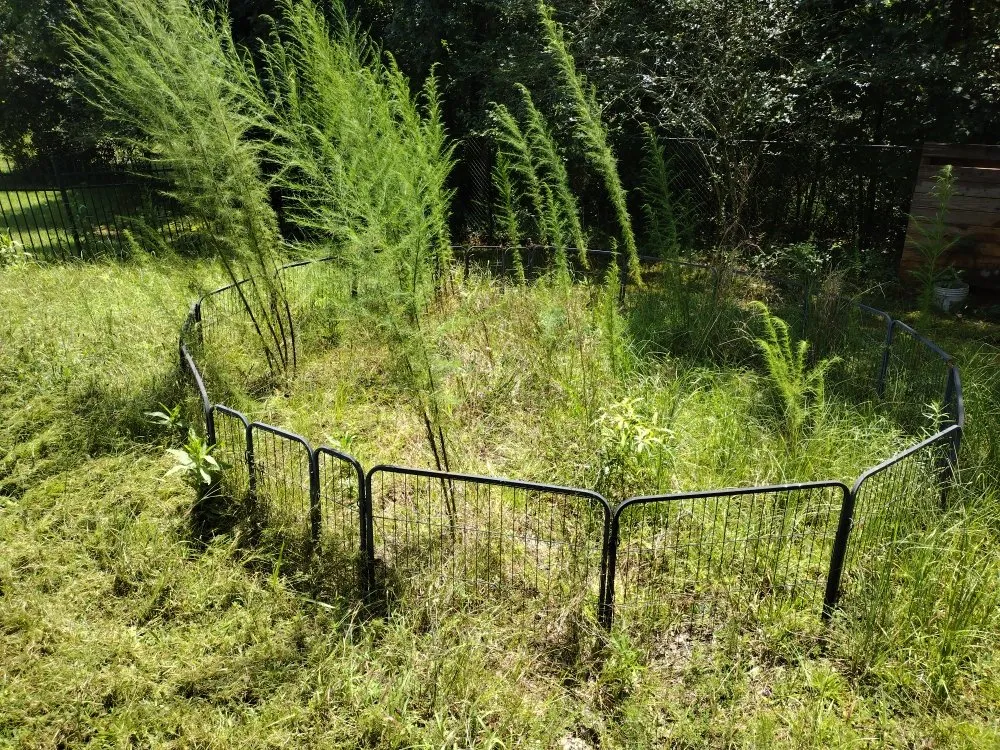 Trusted outdoor landscaping in Loganville, GA by Paulie's Enterprises Lawn Care