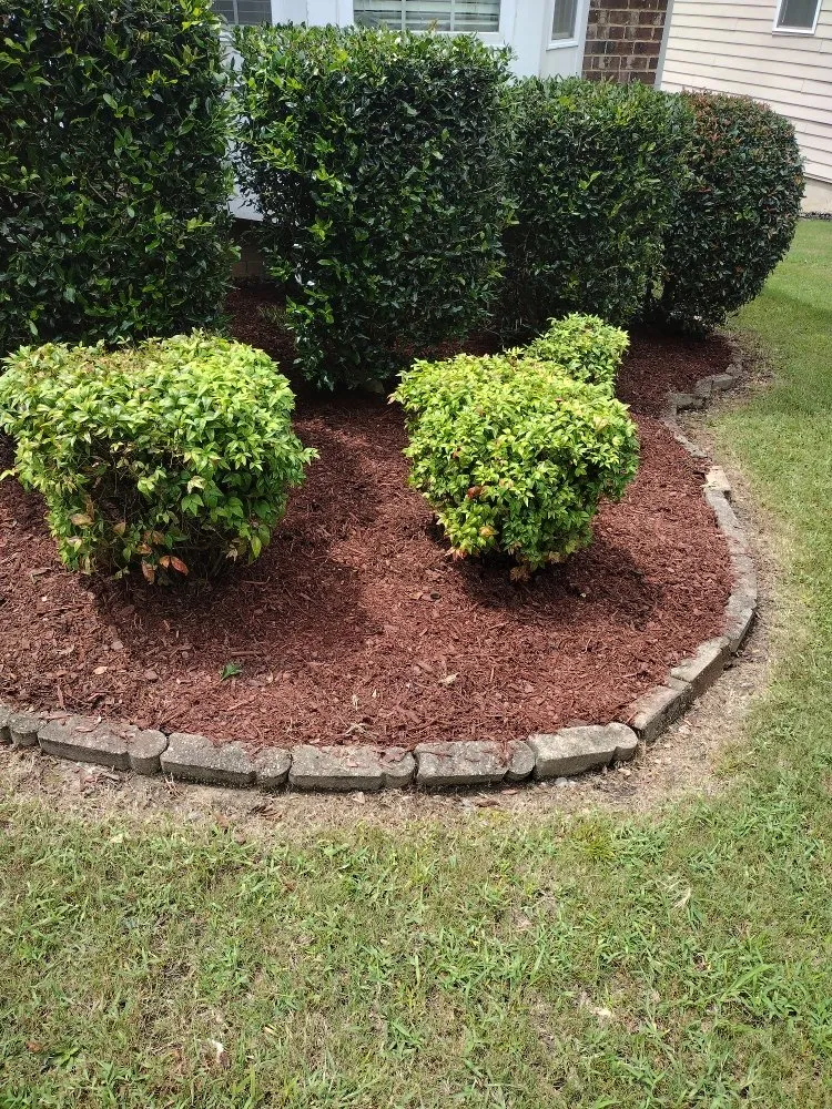 Professional lawn mowing service in Loganville, GA by Paulie's Enterprises Lawn Care