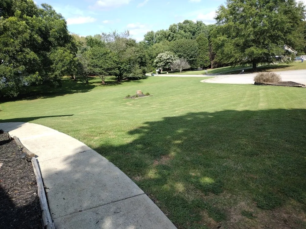 Reliable yard cleanup service with custom design in Loganville, GA by Paulie's Enterprises Lawn Care