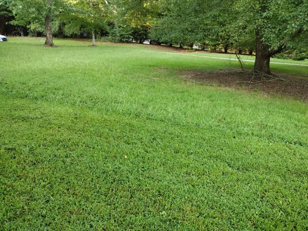 Trusted landscape installation for homes in Loganville, GA by Paulie's Enterprises Lawn Care