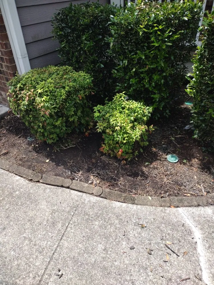 Professional garden landscaping for outdoor upgrades across Loganville, GA - Paulie's Enterprises Lawn Care