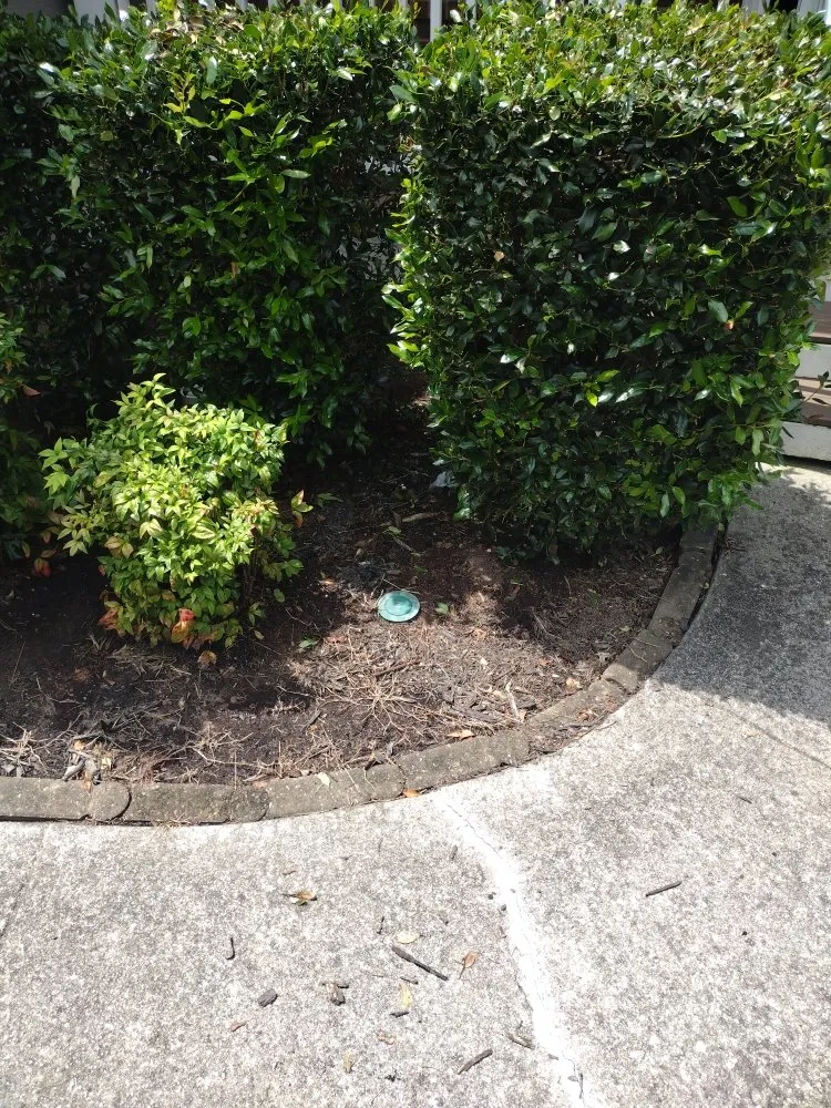 Trusted lawn care service for beautiful yards in Loganville, GA by Paulie's Enterprises Lawn Care