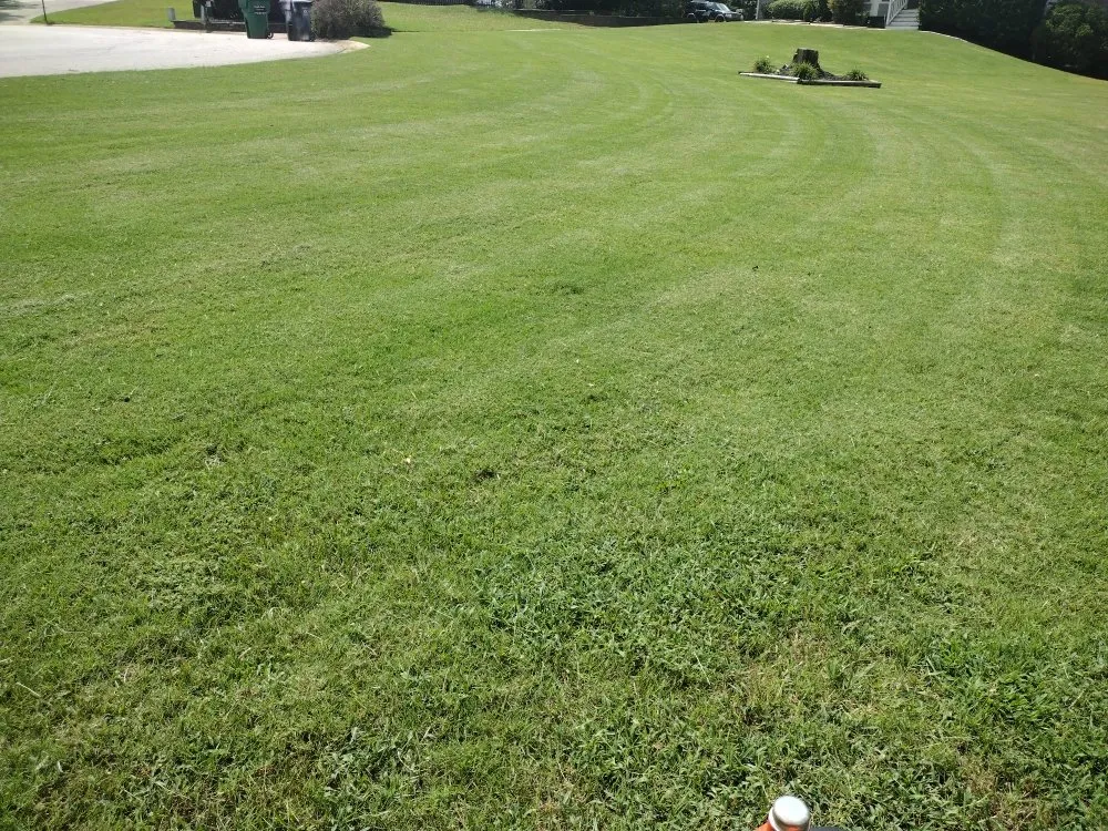 Trusted lawn care service for homes across Loganville, GA - Paulie's Enterprises Lawn Care