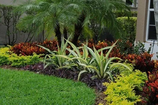 Local yard cleanup service in Jacksonville, FL - Paulin Landscape & Remodeling Services