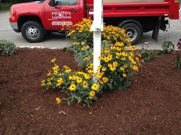 Expert landscaping services with custom design across Chatham, MA - Paulito's Landscaping