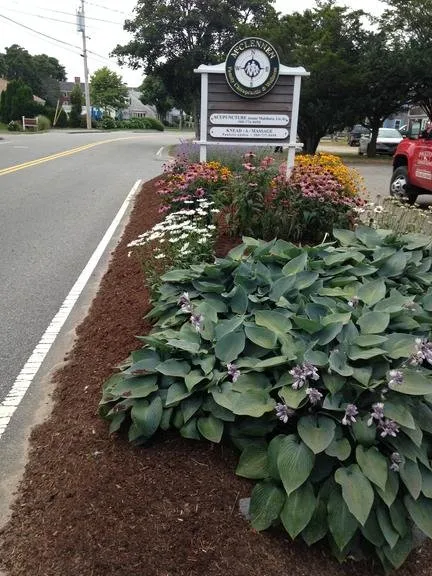 Top-rated yard maintenance for outdoor upgrades in Chatham, MA by Paulito's Landscaping