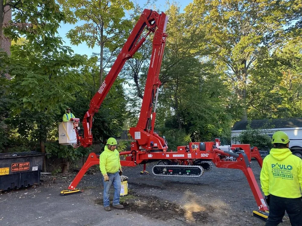 Custom yard cleanup service for residential properties across Orange, CT - Paulo's Landscaping & Tree Removal