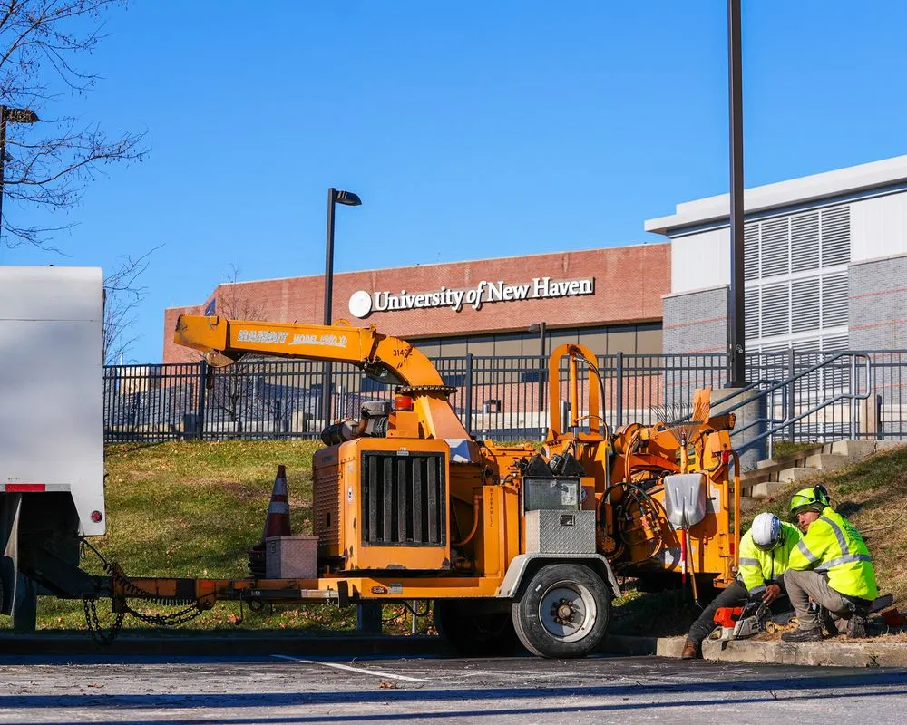 Top-rated lawn mowing service in Orange, CT - Paulo's Landscaping & Tree Removal