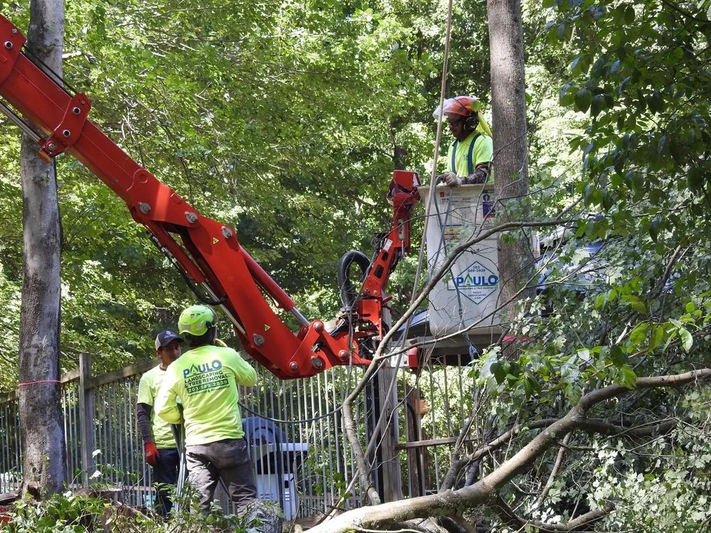 Professional landscape design in Orange, CT by Paulo's Landscaping & Tree Removal