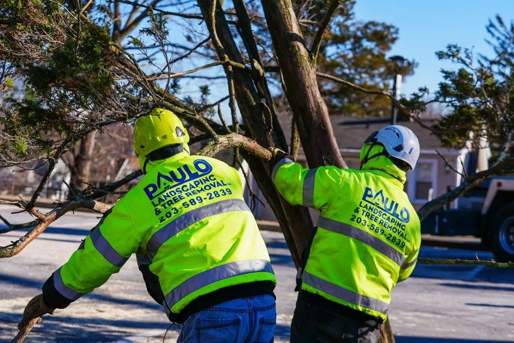 Top-rated landscape installation for outdoor upgrades across Orange, CT - Paulo's Landscaping & Tree Removal