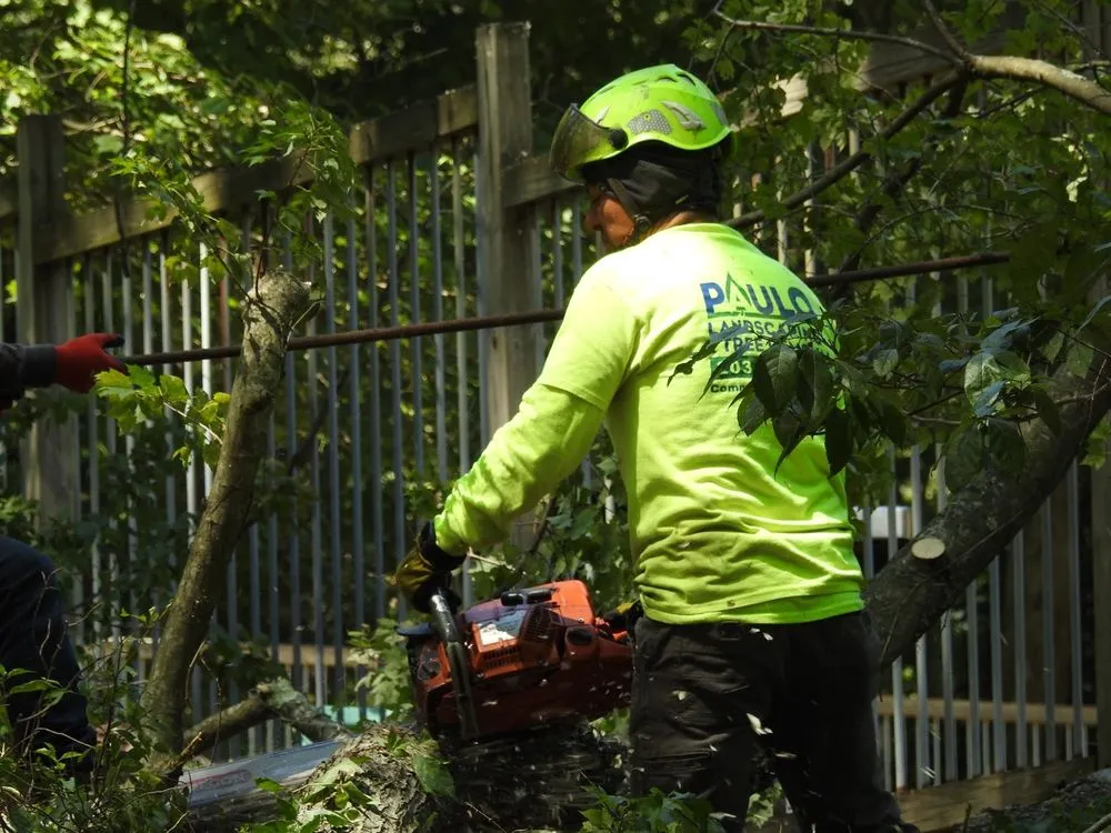 Custom landscape design near you in Orange, CT by Paulo's Landscaping & Tree Removal