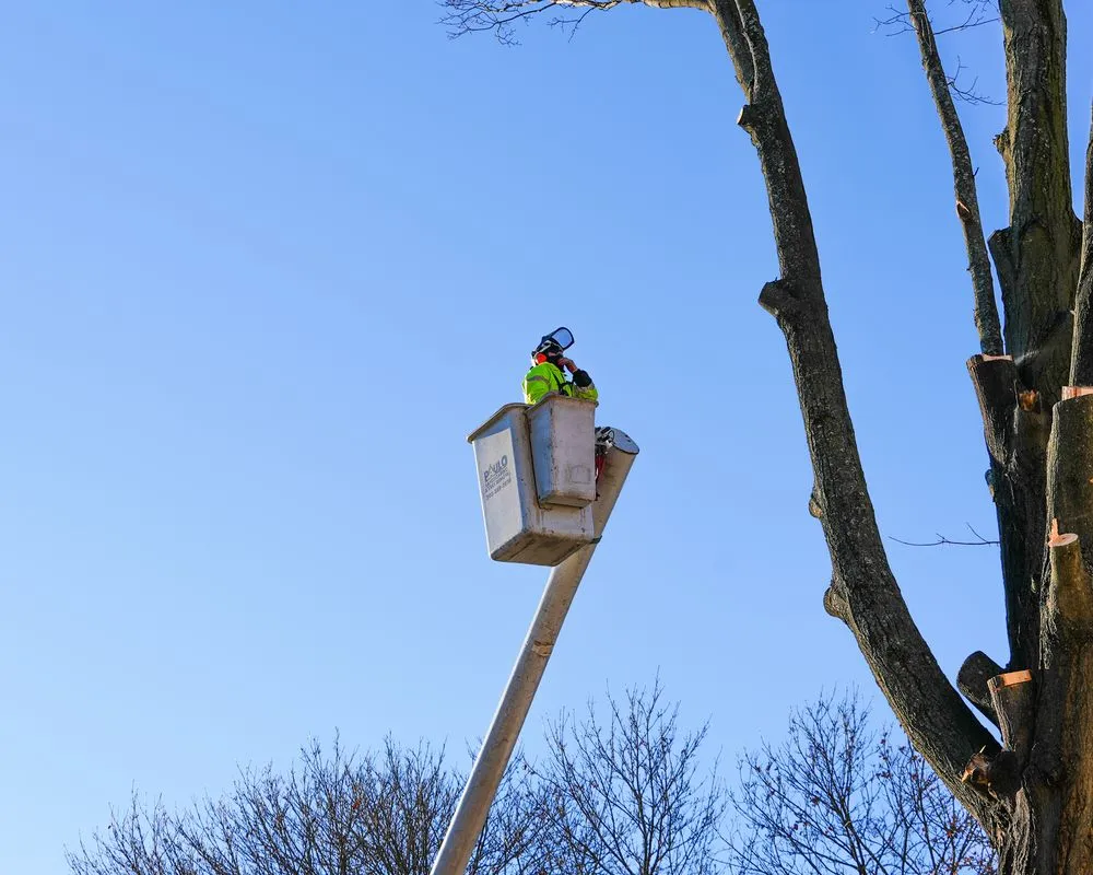 Local landscaping services for homes across Orange, CT - Paulo's Landscaping & Tree Removal