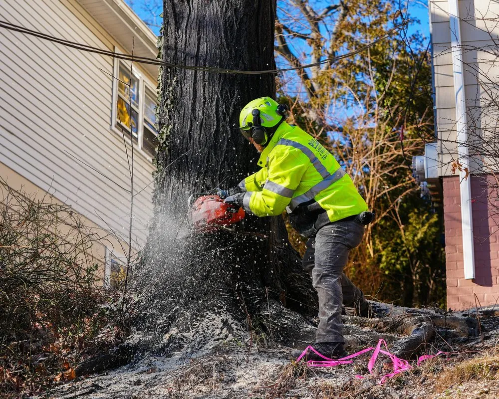 Custom landscape design for outdoor upgrades across Orange, CT - Paulo's Landscaping & Tree Removal