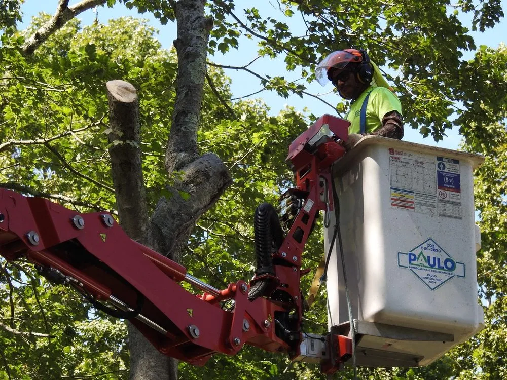 Reliable yard cleanup service for beautiful yards across Orange, CT - Paulo's Landscaping & Tree Removal