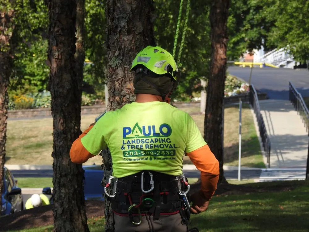 Custom outdoor landscaping for beautiful yards across Orange, CT - Paulo's Landscaping & Tree Removal