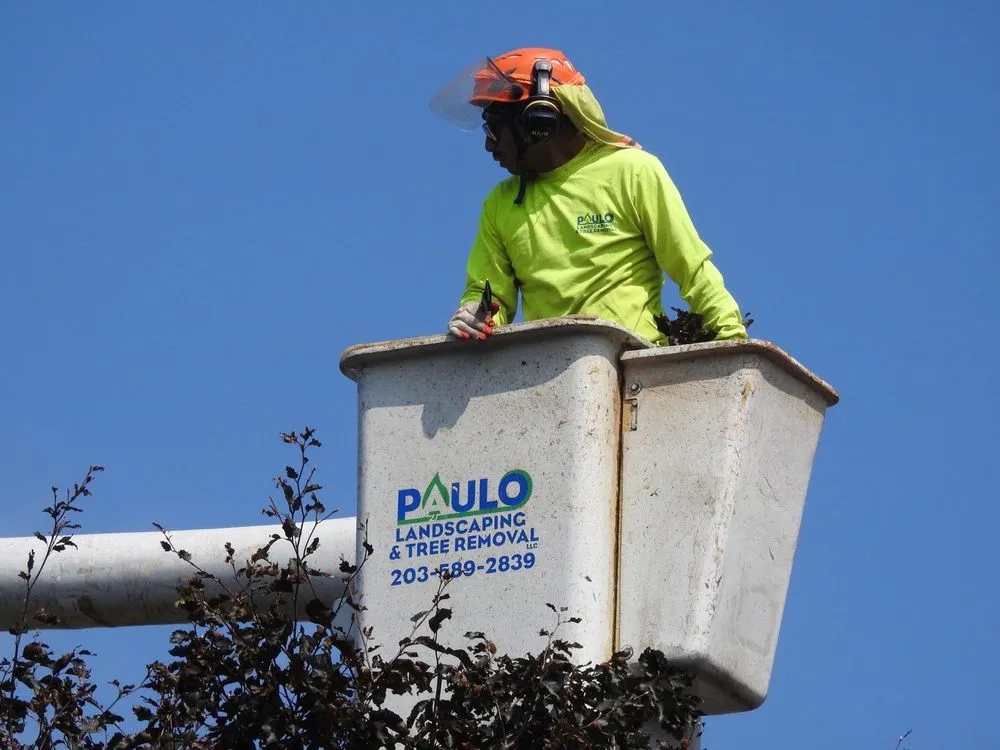 Affordable yard maintenance in Orange, CT by Paulo's Landscaping & Tree Removal