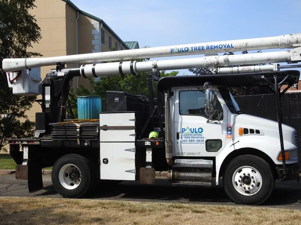 Top-rated yard maintenance experts serving Orange, CT - Paulo's Landscaping & Tree Removal