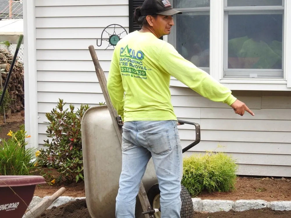 Trusted yard cleanup service in Orange, CT - Paulo's Landscaping & Tree Removal