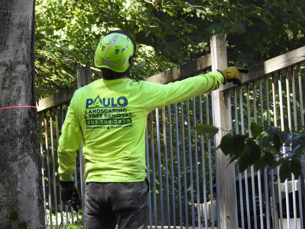 Reliable yard maintenance experts serving Orange, CT - Paulo's Landscaping & Tree Removal