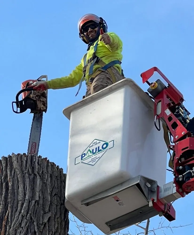 Local landscaping services in Orange, CT - Paulo's Landscaping & Tree Removal