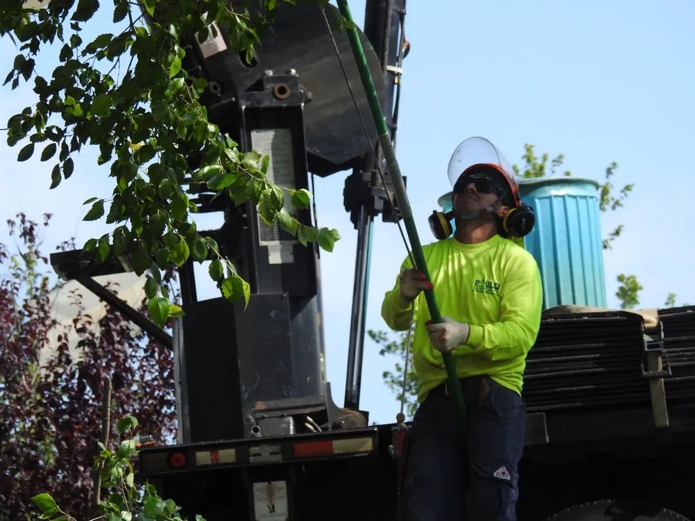 Affordable landscape design for year-round maintenance in Orange, CT by Paulo's Landscaping & Tree Removal