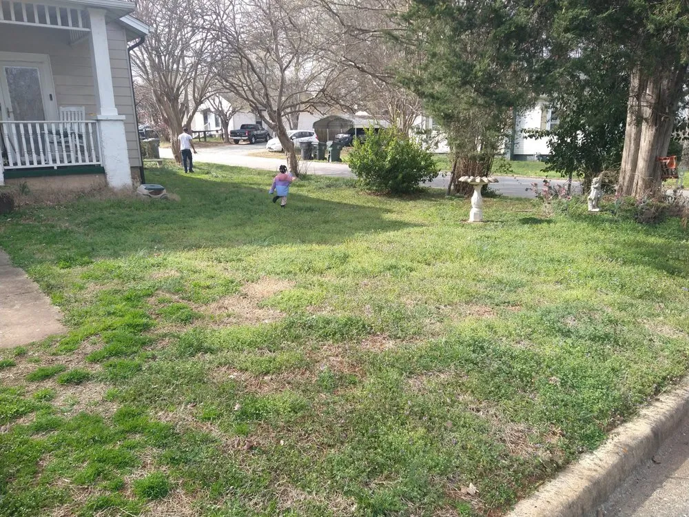 Custom yard maintenance for beautiful yards in Green Level, NC by Pauls And Frogs Landscaping