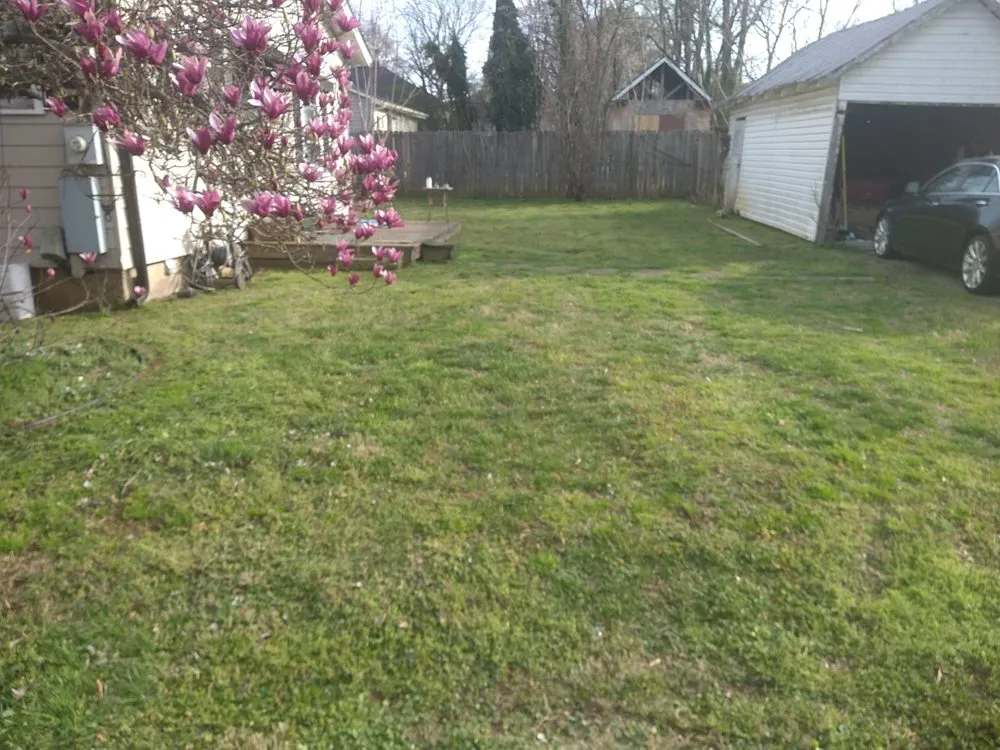 Local yard cleanup service in Green Level, NC - Pauls And Frogs Landscaping