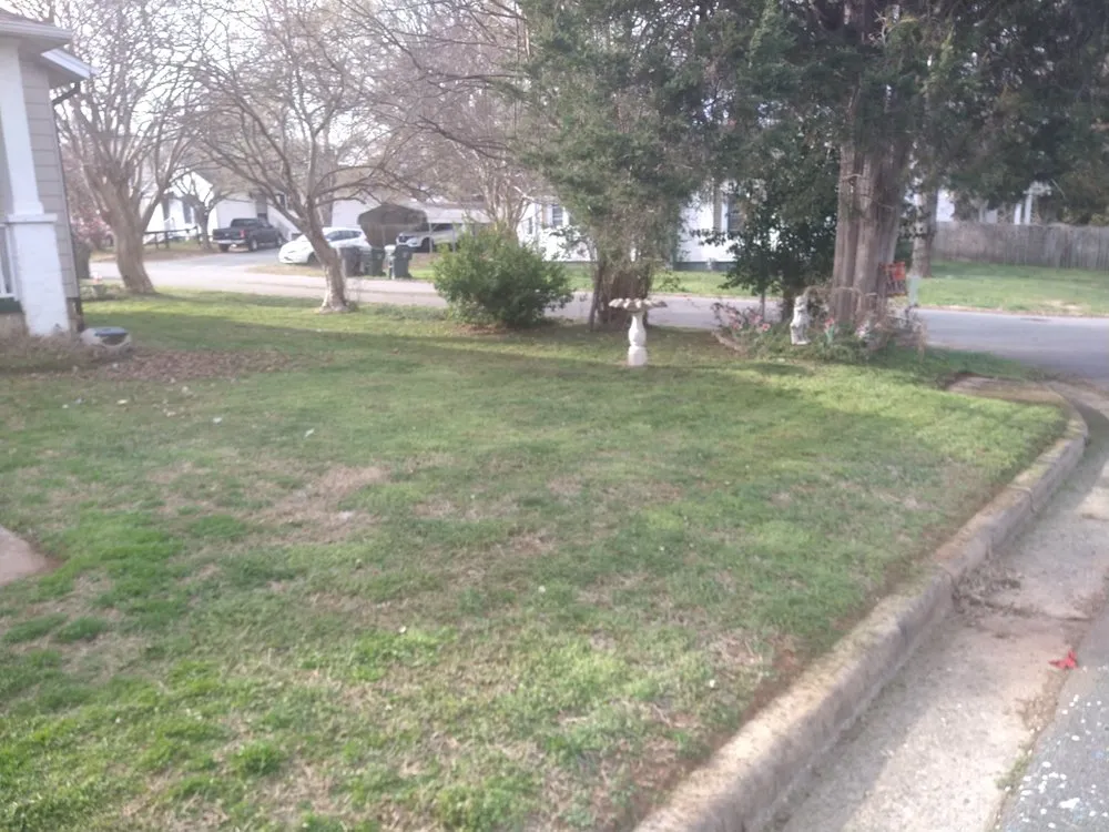 Top-rated landscape installation in Green Level, NC - Pauls And Frogs Landscaping