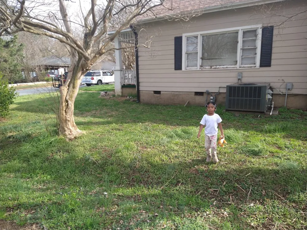 Custom landscape design in Green Level, NC - Pauls And Frogs Landscaping