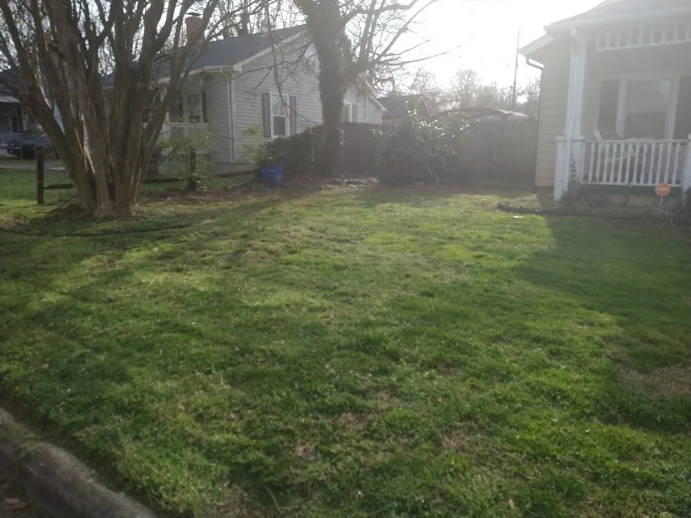 Reliable yard cleanup service for beautiful yards across Green Level, NC - Pauls And Frogs Landscaping