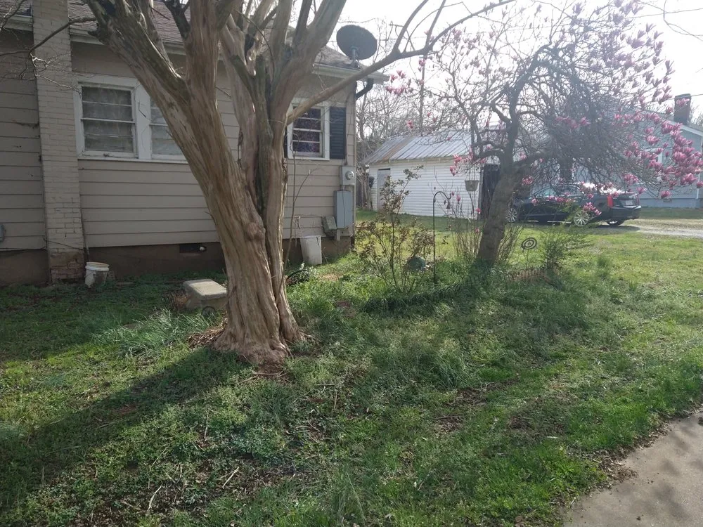 Reliable yard maintenance with custom design across Green Level, NC - Pauls And Frogs Landscaping