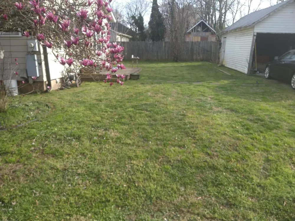 Expert landscape design for year-round maintenance across Green Level, NC - Pauls And Frogs Landscaping