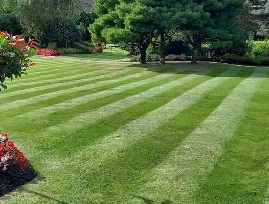 Pauls And Frogs Landscaping