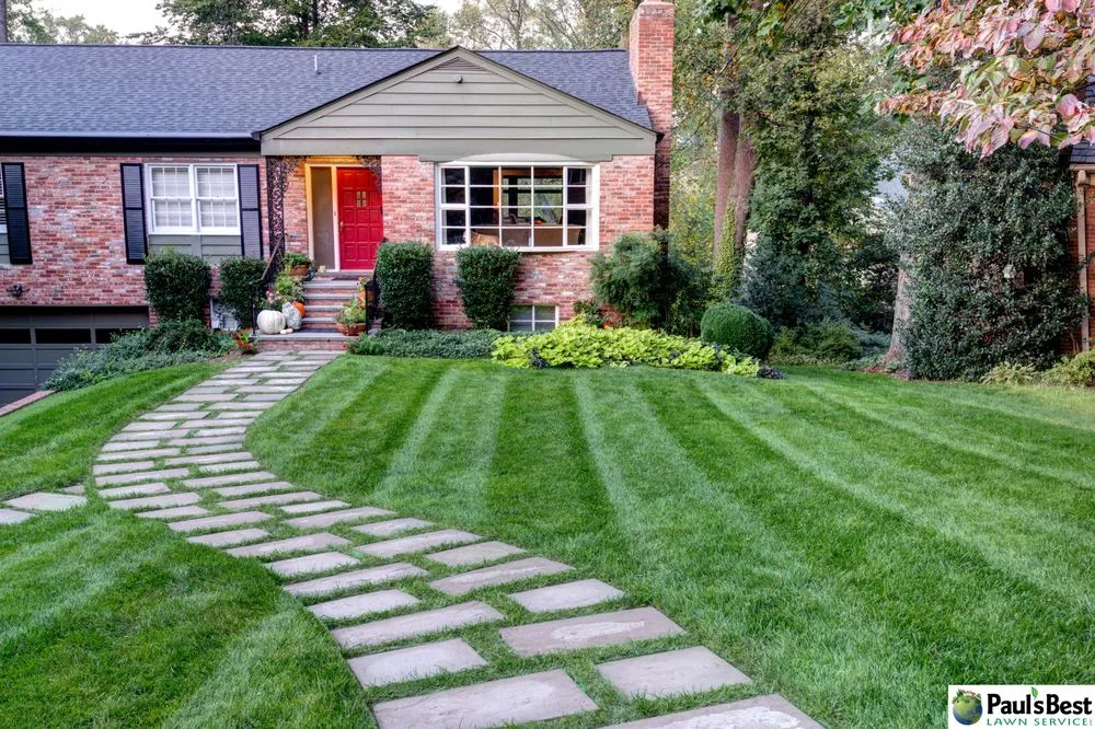 Professional yard cleanup service in Falls Church, VA by Paul's Best Lawn Service