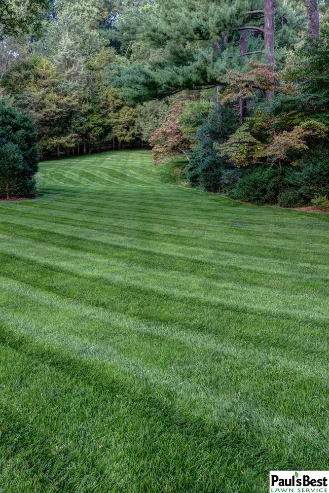 Local residential landscaping experts serving Falls Church, VA - Paul's Best Lawn Service