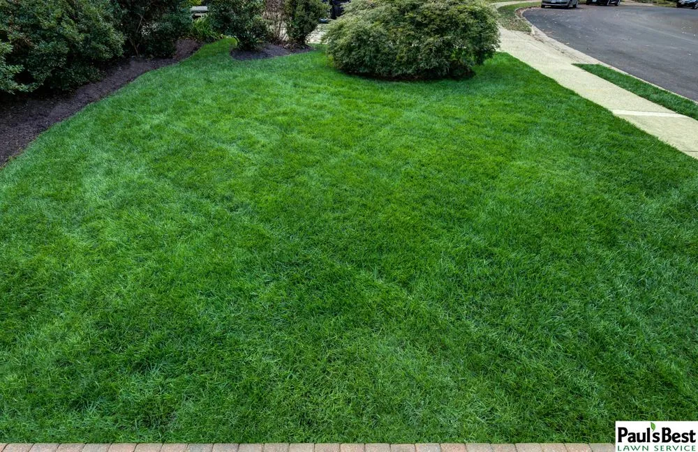 Professional lawn mowing service for outdoor upgrades in Falls Church, VA by Paul's Best Lawn Service