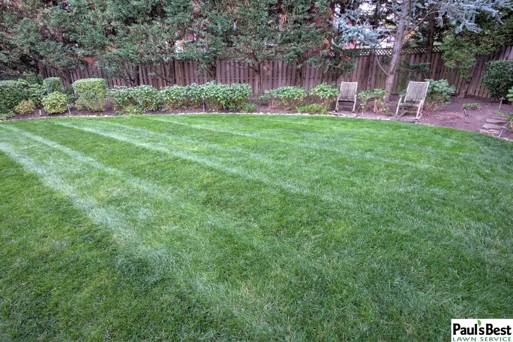 Expert landscaping services experts serving Falls Church, VA - Paul's Best Lawn Service